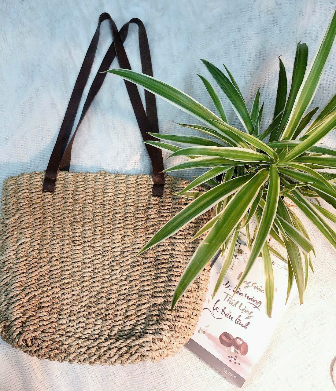 Bảo quản túi sợi chuối